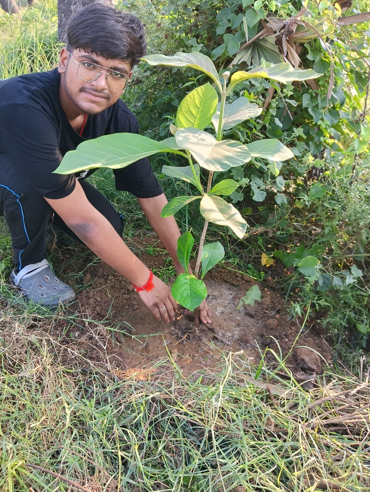 जल जीवन हरियाली योजना 