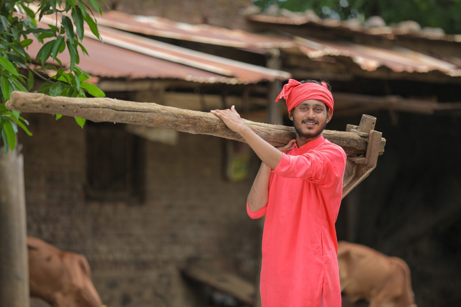 Livelihoods that Empower