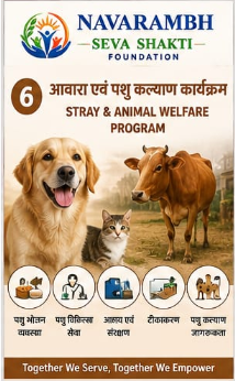 stray & animal welfare program 